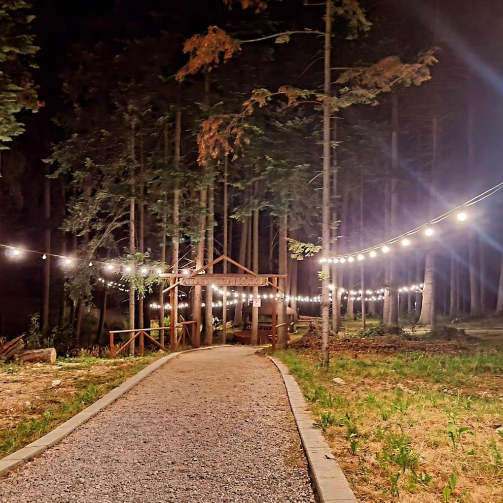 Mountain Studio Asp E63 Borovets Gardens Luaran gambar