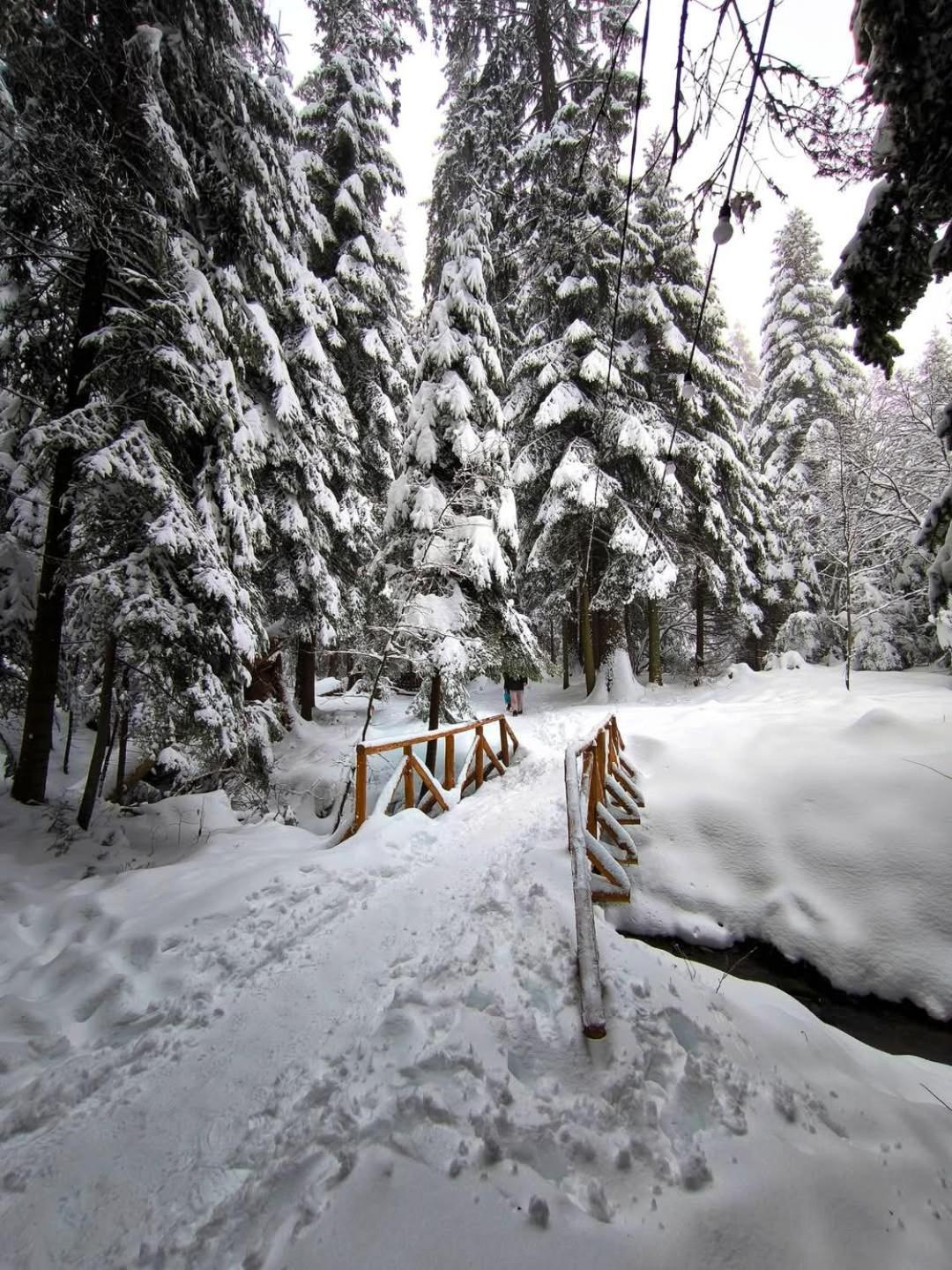 Mountain Studio Asp E63 Borovets Gardens Luaran gambar