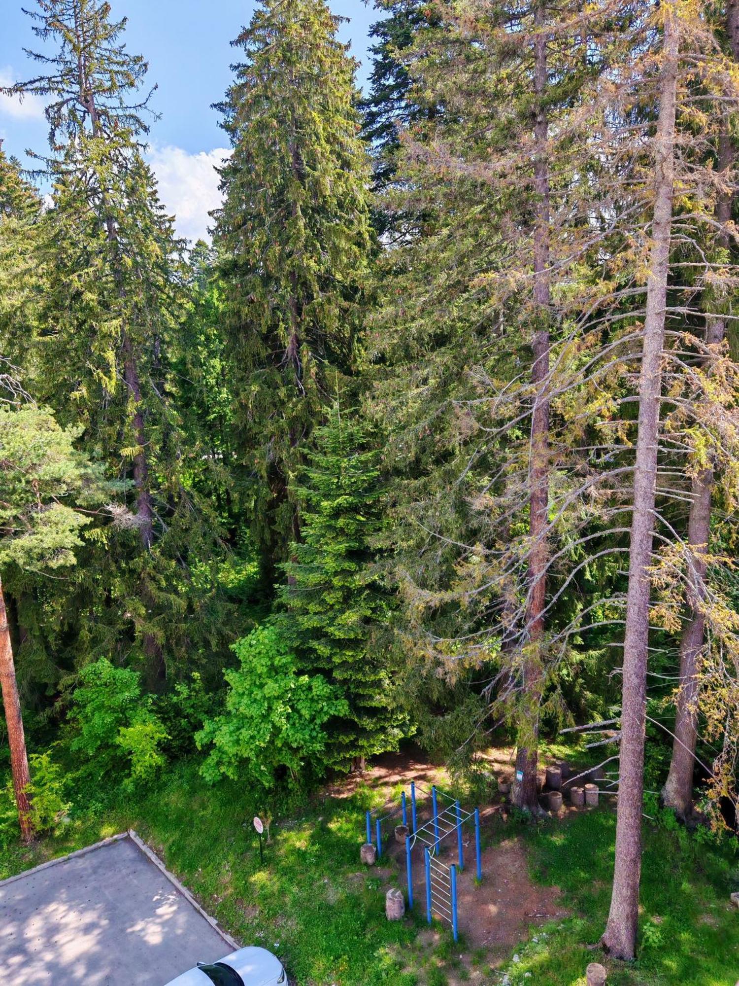 Mountain Studio Asp E63 Borovets Gardens Luaran gambar